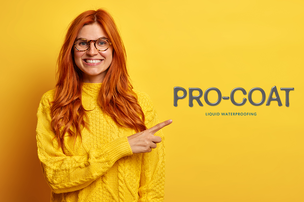 Creating a Brand Identity for Pro Coat