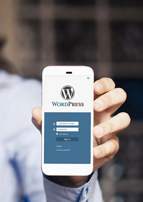 The power of WordPress design