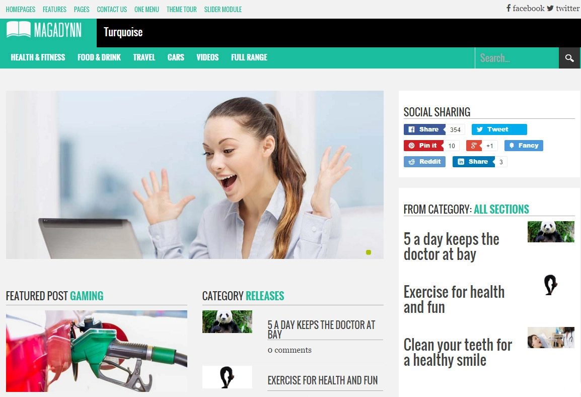 DNN Theme Magazine for sale
